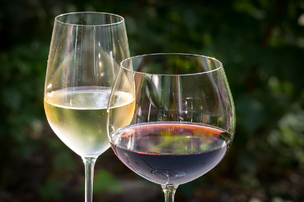 Jak powinna przebiegać degustacja wina?
